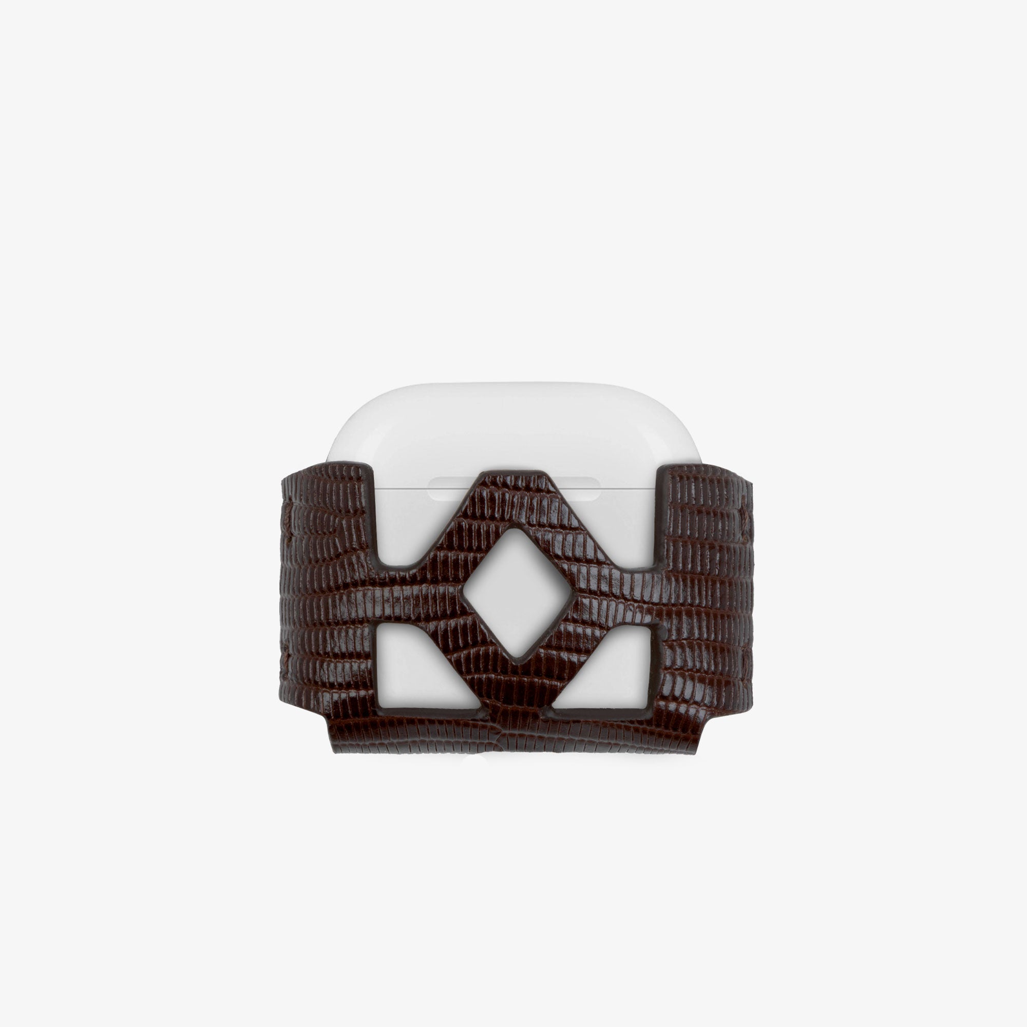 AirPods Iguana Case