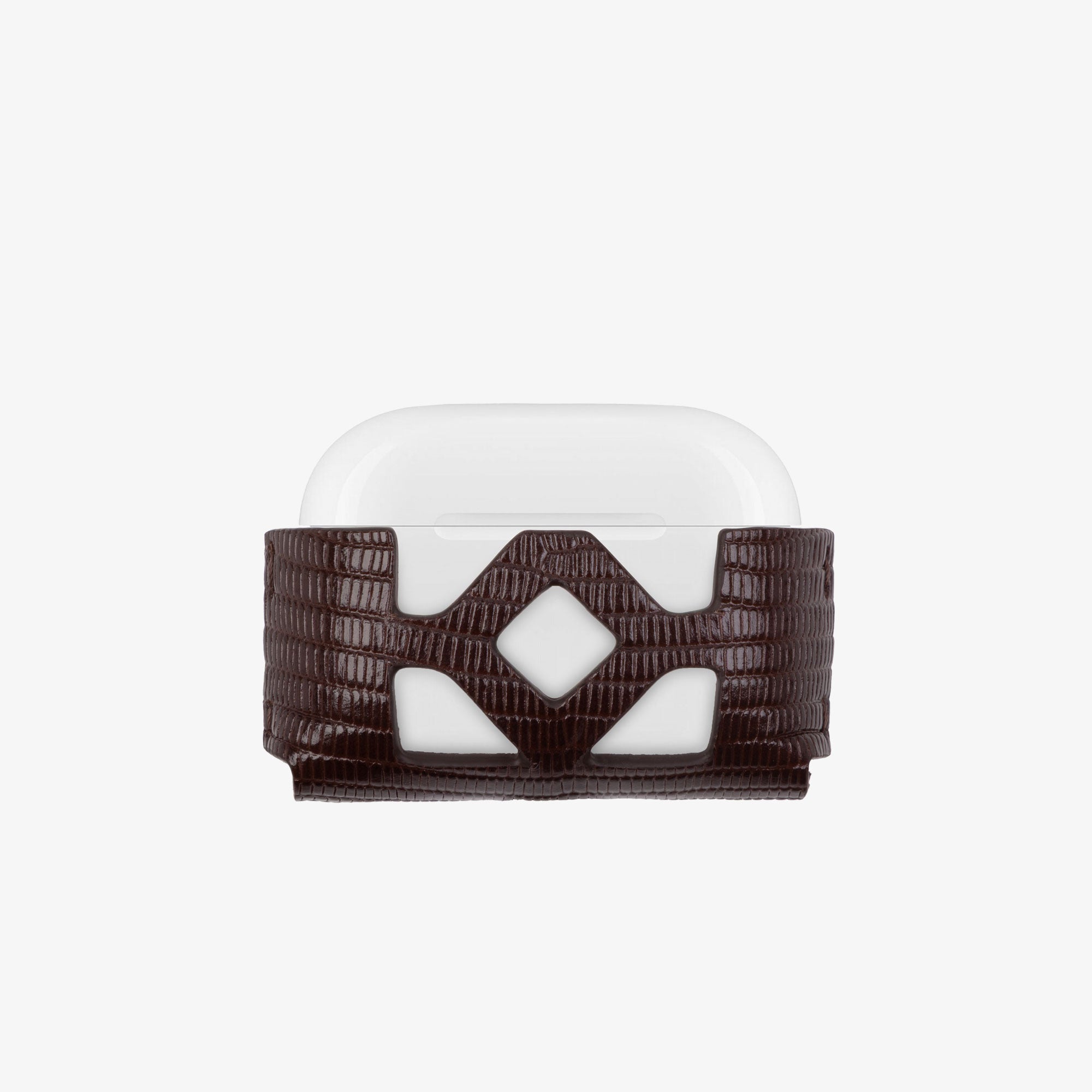 AirPods Iguana Case